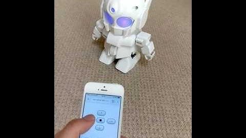 二足歩行ロボット Rapiro を Node.js で制御 － 10個の基本動作を実装