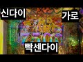 신다이 가로 정말 빡신다이