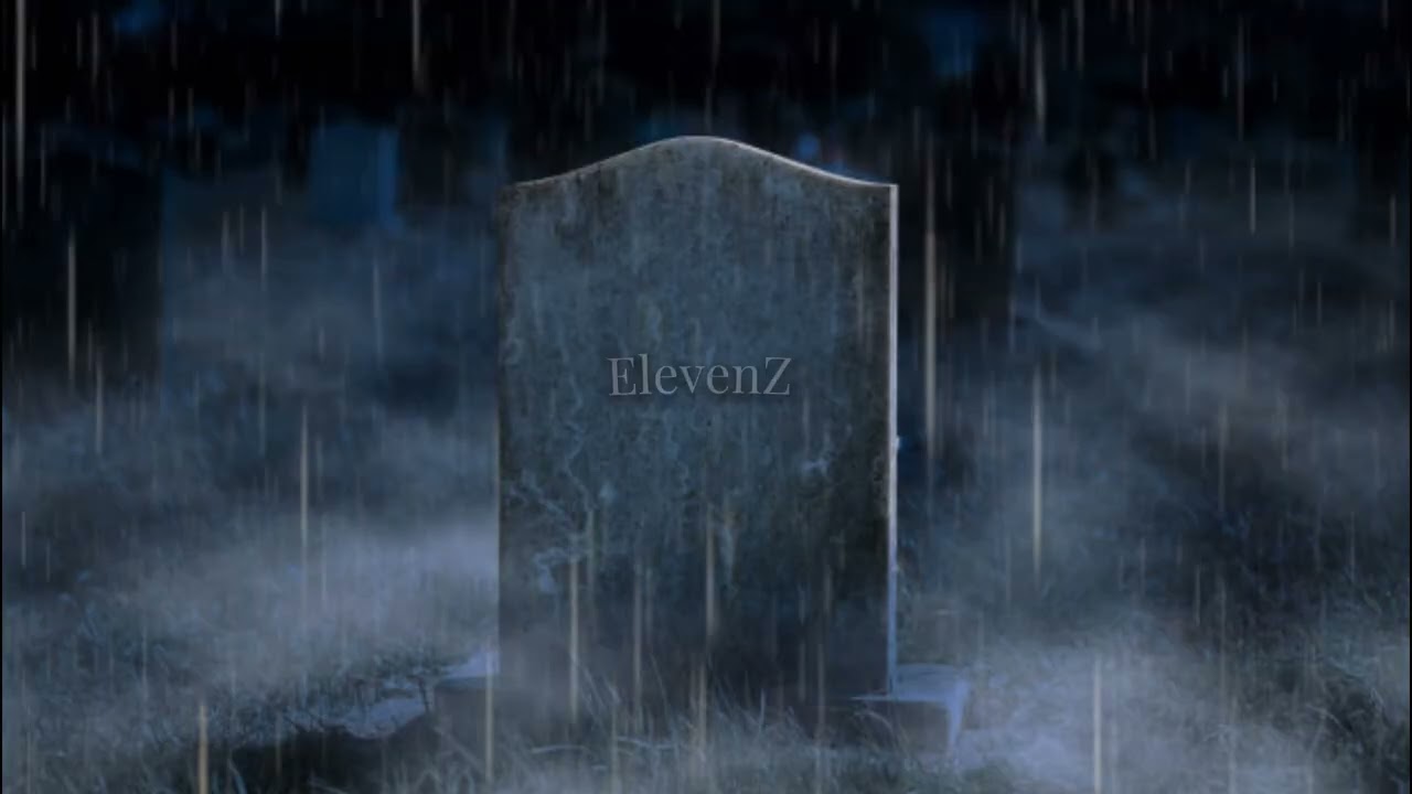ElevenZ - Test