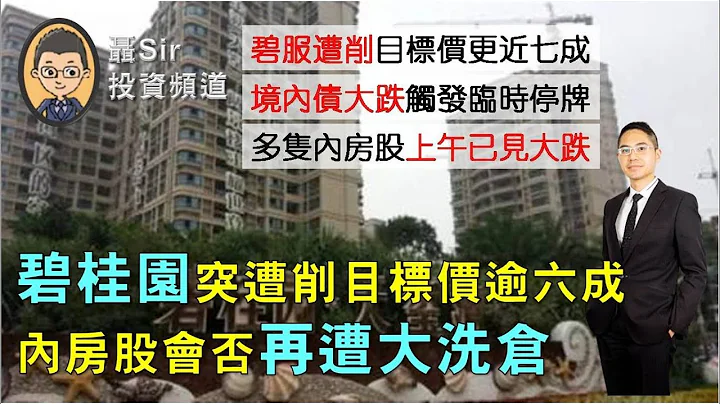 聂Sir市评 (2023/07/24) 碧桂园突遭削目标价逾六成　内房股会否再遭大洗仓 - 天天要闻