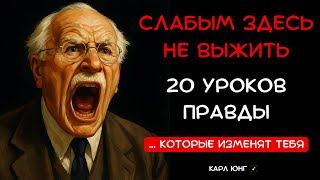 :  20  ,     .  