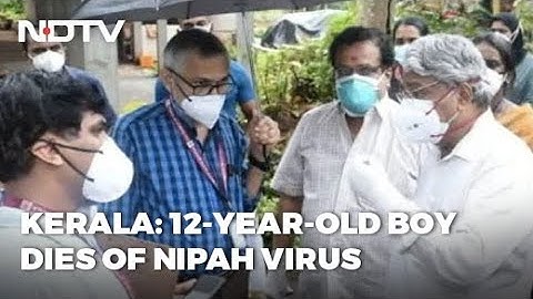 Central Team Rushed To Kerala As Boy, 12, Dies Of Nipah Virus Infection