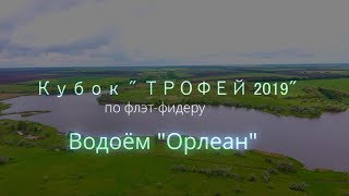 Флет-Фидер, Кубок Трофей 2019.