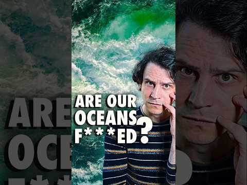 Could our oceans collapse?? #climatechange