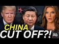 🚨 Trump Cuts CHINA OFF From Greenland — A Rare Earth Mineral Race | Trish Regan