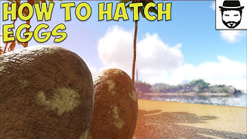 How To Hatch Eggs (Ark Survival Evolved)