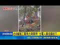 黑熊足跡往淺山擴張 林保署示警"緩步離開" 台8線施工驚見台灣黑熊! 台電人員低調拍下｜三立新聞LIVE