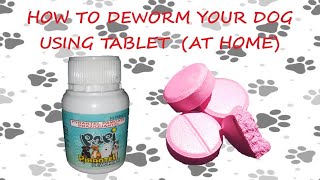 How to Deworm Your Puppy or Your Adult Dog at Home Using Tablet Dewormer ( Deworming Step by Step ) by Restless TV 85,753 views 4 years ago 4 minutes, 19 seconds