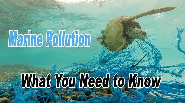 Marine Pollution: What Everyone Needs to Know - wi...