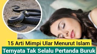 15 ARTI MIMPI ULAR MENURUT ISLAM, TERNYATA TAK SELALU PERTANDA BURUK ‼️