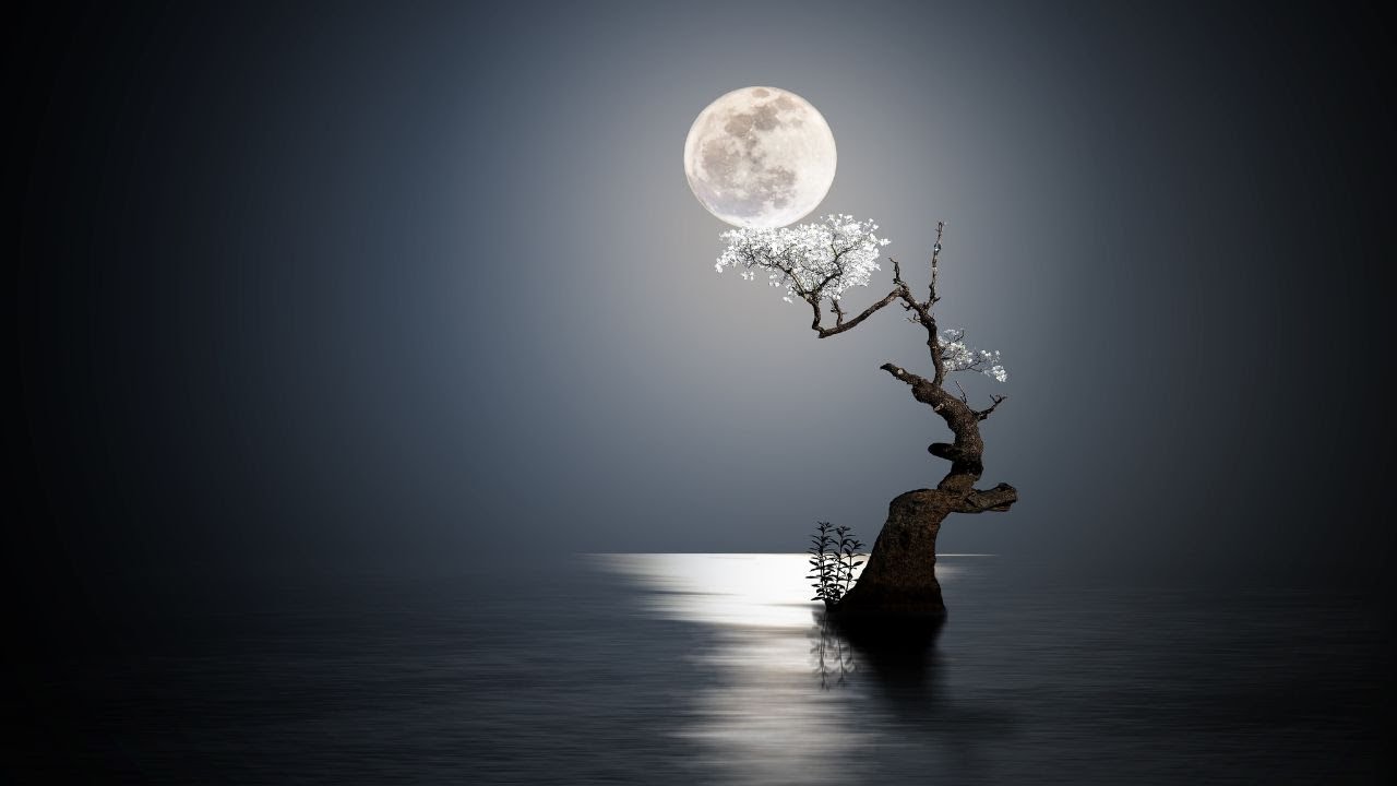 This moon is about the Masculine rising, detaching and lessons learned ...