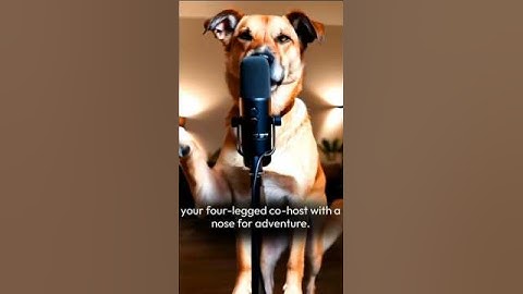Paws And Pedal EP1 - Why do dogs chase cyclists?