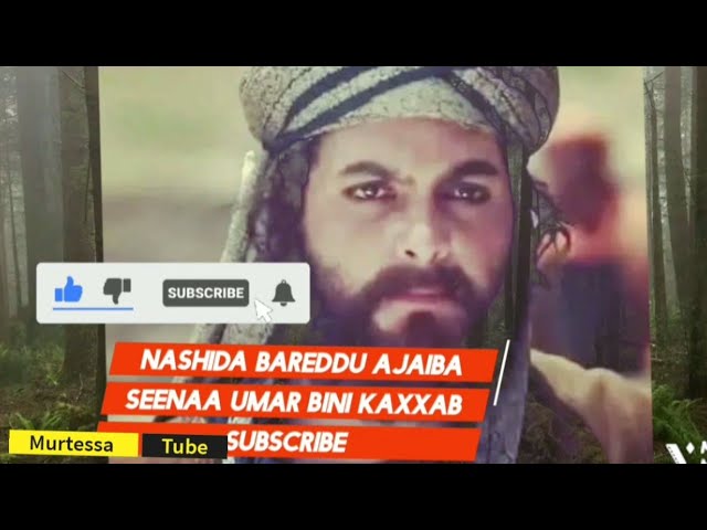 Katta siklar qizni sikishadi