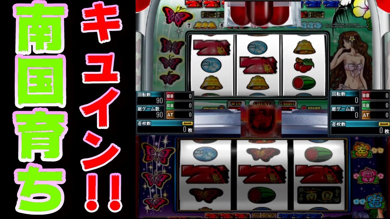 南国育ち】【南国育ちR2】キュインで十分 - YouTube