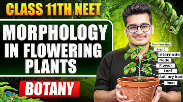 Morphology in Flowering Plants FULL CHAPTER || NCERT Line by Line || Vipin Sir