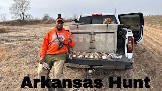 Rabbit Hunting Arkansas Ditch Rows