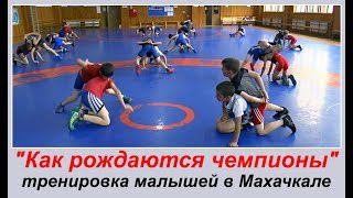 картинка: Где рождаются чемпионы_тренировка малышей_15.07.2019