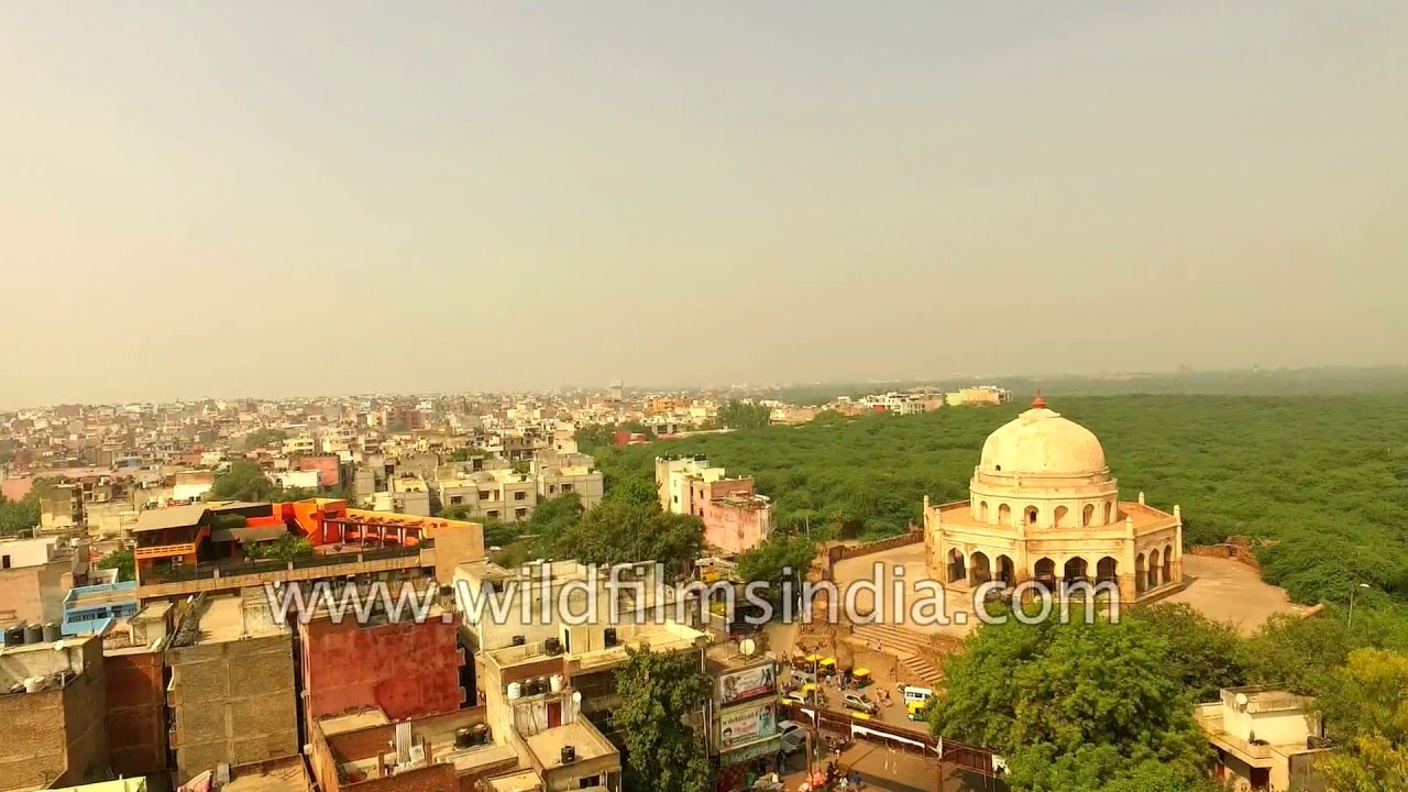 Ancient Mehrauli monuments and Qutub Minar in archaeological park