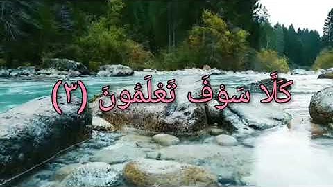 سورة التكاثر القارئ إسلام صبحي