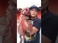 PIT MONSTERÉ MUSCULOSO E CARINHOSO NUNCA PERIGOSO SE INSCREVA POR FAVOR 