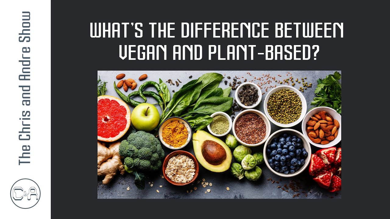 What's The Difference Between Vegan and Plant-Based? - YouTube