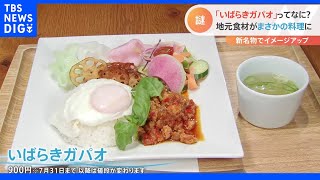 茨城県の新名物が誕生？！「タコとしらすを入れる」定義が自由過ぎる「いばらきガパオ」！茨城の新たな“魅力UP”になるか｜TBS NEWS DIG