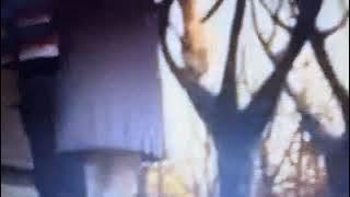 Monster House ( 2006 ) Jenny Bennett Shake , Wiggle & Turned her Butt