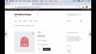 HOW to Optimize Your Wordpress Site Without  Any SEO Plugins