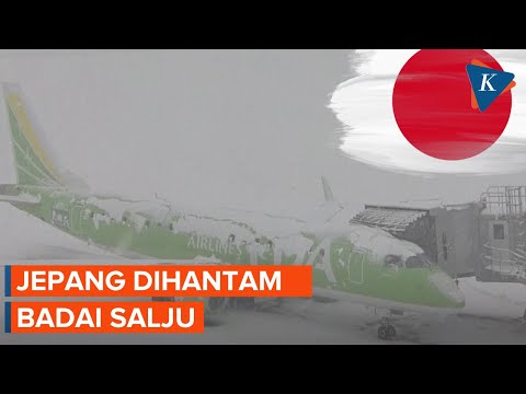 Badai Salju Hantam Jepang, Transportasi Lumpuh