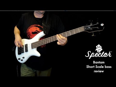 spector-bantam-4-string-short-scale-bass-review