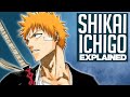 Ichigo’s FALSE Shikai Explained | ZANGETSU IS BROKEN | BLEACH Breakdown