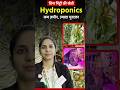 Hydroponics विधि से खेती, कम जमीन, ज़्यादा मुनाफा । Soilless farming #hydroponicfarming #hydroponics