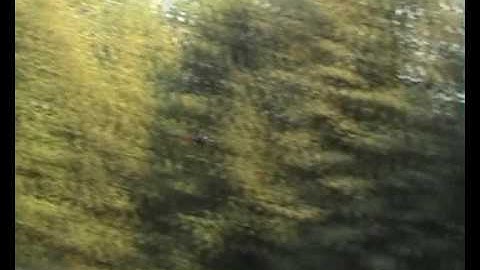 mikrokopter first video