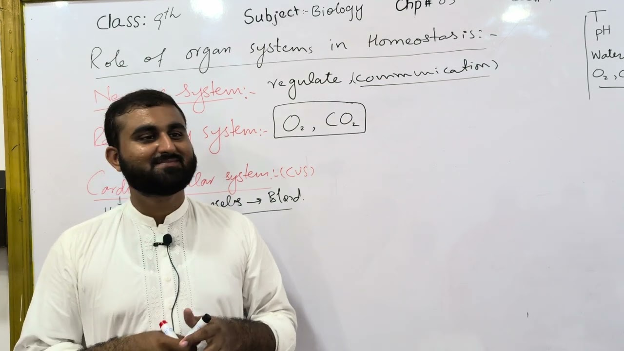 Role of organ systems in homeostasis