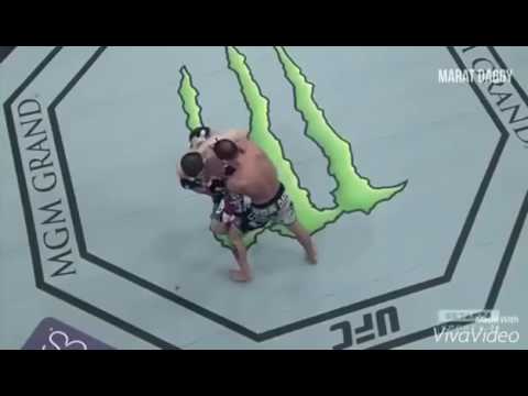 Muslim Mma FIghters   highlights