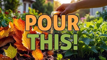 The Leaf-Activation Trick That Restores Dead Soil FAST!