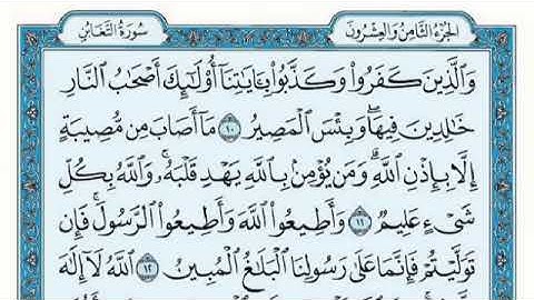 سورة التغابن القارئ الشيخ فارس عباد تلاوة خاشعة مكتوبة جودة عالية جدا
