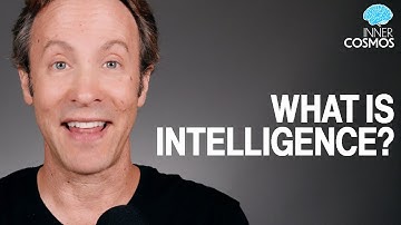 What is intelligence? | Inner Cosmos with David Eagleman