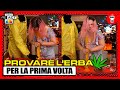 Provare Marijuana per la Prima Volta - [Team theShow React] - theShow