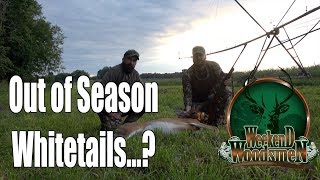 Two Deer Down | Michigan Rifle Hunt | Close up action screenshot 5
