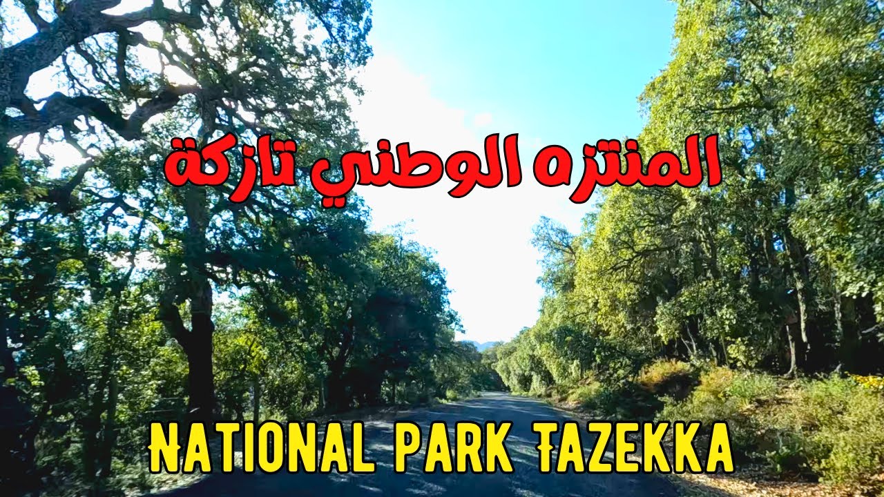 Driving National park Tazekka 🇲🇦 جولة بالمنتزه الوطني تازكة من باب بودير إلى تاهلة بإقليم تازة
