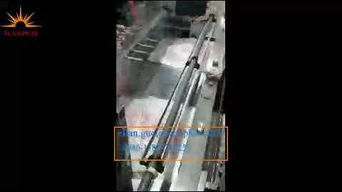 HDPE LDPE Plastic Bag Making Machine Vest Bag Shopping Bag Garbage Bag SLD003