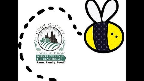 Pipe Cleaner Bee Instructions Video