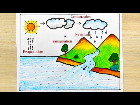 Free Vector | Hand drawn water cycle information