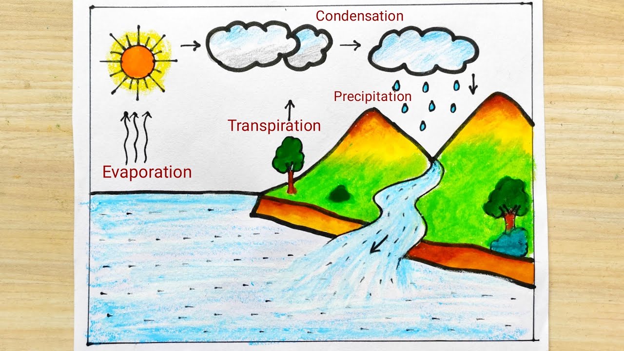 Water cycle_poster | Water cycle, Water cycle poster, Cycle drawing