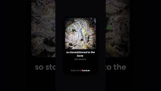 So stoned/stoned to the bone -Xvision