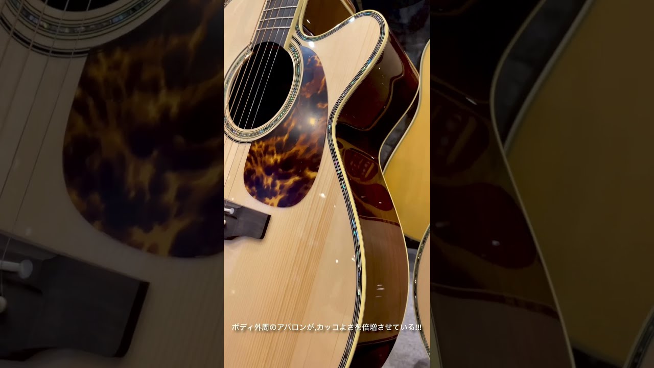 Takamine/タカミネ 500 Custom “王道” ハカランダVer. ルックス