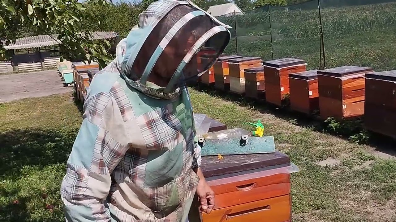 Як заставити бджолу працювати!