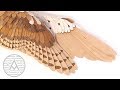 Wooden Owl Wings -- Woodworking/Sculpture