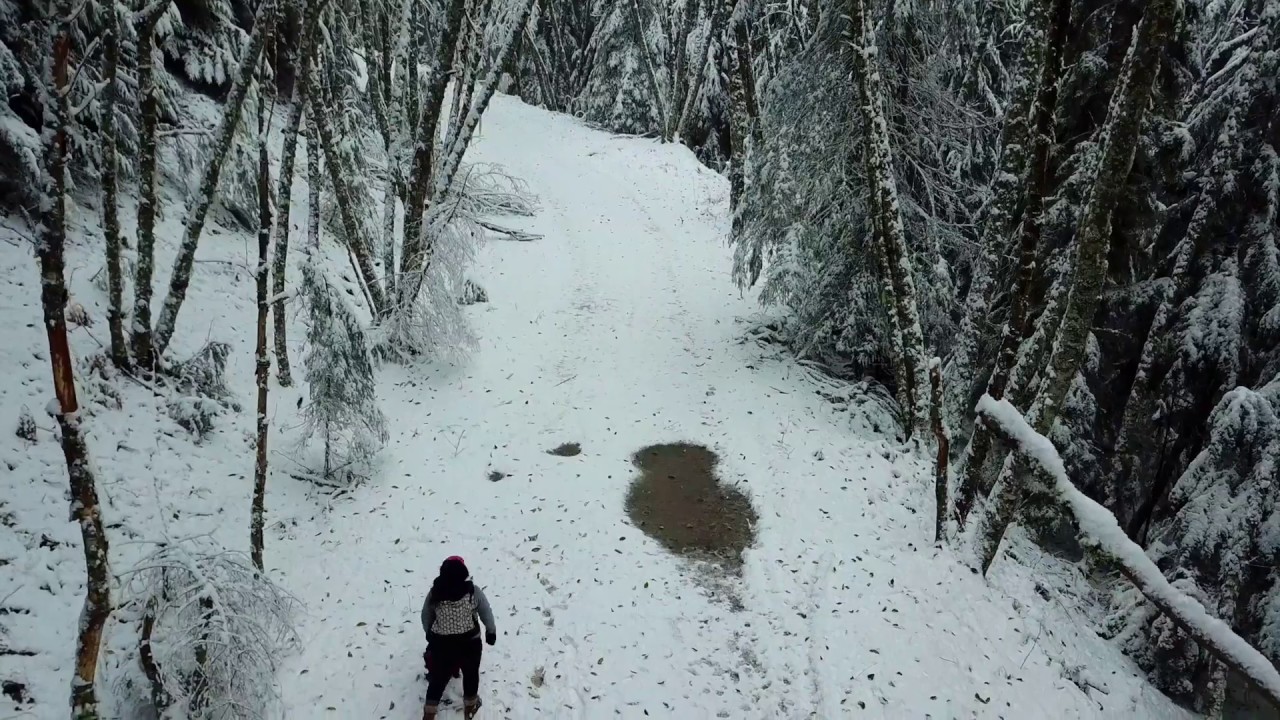 Snow Day Ashford, WA YouTube